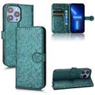 For iPhone 13 Pro Honeycomb Dot Texture Leather Phone Case(Green) - 1