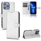 For iPhone 13 Pro Max Honeycomb Dot Texture Leather Phone Case(Silver) - 1