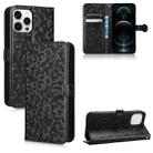 For iPhone 12 Pro Max Honeycomb Dot Texture Leather Phone Case(Black) - 1