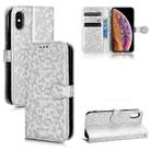 For iPhone X / XS Honeycomb Dot Texture Leather Phone Case(Silver) - 1