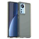 For Xiaomi 12S Pro Candy Series TPU Phone Case(Transparent Grey) - 1