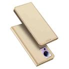 For Xiaomi 12 Lite 5G NE DUX DUCIS Skin Pro Series Horizontal Flip Phone Leather Case(Gold) - 1