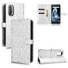 For Blackview BV7100 Honeycomb Dot Texture Leather Phone Case(Silver) - 1