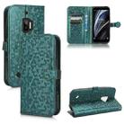 For Oukitel WP12 / 12 Pro Honeycomb Dot Texture Leather Phone Case(Green) - 1