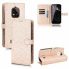 For Oukitel WP18 Honeycomb Dot Texture Leather Phone Case(Gold) - 1