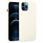 For iPhone 12 Pro Max Weave Texture Silicone Phone Case(White) - 1