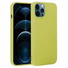 For iPhone 12 Pro Max Weave Texture Silicone Phone Case(Green) - 1