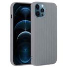 For iPhone 12 Pro Max Weave Texture Silicone Phone Case(Grey) - 1