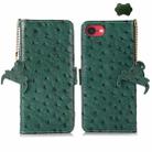 For iPhone SE 2024 Ostrich Pattern Genuine Leather RFID Phone Case(Green) - 1