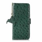 For iPhone SE 2024 Ostrich Pattern Genuine Leather RFID Phone Case(Green) - 2