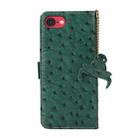 For iPhone SE 2024 Ostrich Pattern Genuine Leather RFID Phone Case(Green) - 3