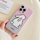 For iPhone 11 Pro Max Translucent Frosted IMD TPU Phone Case(Gradient Rabbit) - 3