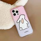 For iPhone 11 Pro Max Translucent Frosted IMD TPU Phone Case(Gradient Rabbit) - 4