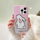 For iPhone 11 Pro Max Translucent Frosted IMD TPU Phone Case(Gradient Rabbit) - 6
