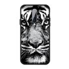 For OnePlus 8 Pattern Printing Embossment TPU Mobile Case(White tiger) - 1