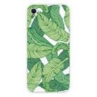 For iPhone SE 2022 / SE 2020 Shockproof Painted Transparent TPU Protective Case(Banana Leaf) - 1