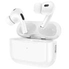 hoco EW50 True Wireless Bluetooth Earphone(White) - 1