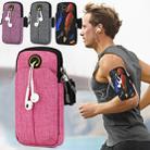 Universal 6.2 inch or Under Phone Zipper Double Bag Multi-functional Sport Arm Case with Earphone Hole(Pink) - 1