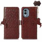 For Nokia X30 5G Ostrich Pattern Genuine Leather RFID Phone Case(Coffee) - 1