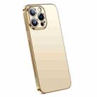 For iPhone 14 Pro SULADA Electroplating Frosted All-inclusive TPU Phone Case(Gold) - 1