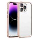 For iPhone 11 Pro Max Cat Eyes Metal Camera Lens Shockproof Protective Phone Case(Pink) - 1