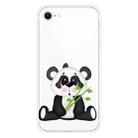 For iPhone SE 2022 / SE 2020 Shockproof Painted Transparent TPU Protective Case(Bamboo Panda) - 1