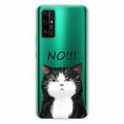 For Huawei Honor 30 Shockproof Painted Transparent TPU Protective Case(No Cat) - 1