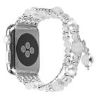 For Apple Watch 5 & 4 40mm / 3 & 2 & 1 38mm Luminous Agate Watch Band(Silver) - 1