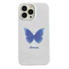 For iPhone 14 Pro Max 2 in 1 Detachable Painted Pattern Phone Case(Butterfly) - 1