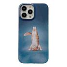 For iPhone 14 Pro 2 in 1 Detachable Painted Pattern Phone Case(Handstand Kitten) - 1