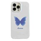 For iPhone 12 Pro Max 2 in 1 Detachable Painted Pattern Phone Case(Butterfly) - 1