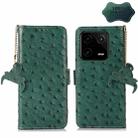 For Xiaomi 13 Ostrich Pattern Genuine Leather RFID Phone Case(Green) - 1