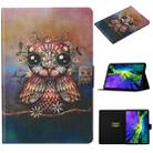 For iPad Pro 11 (2020) Coloured Drawing Pattern Horizontal Flip Leather Tablet Case with Holder & Card Slot & Sleep / Wake-up Function(Owl) - 1