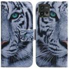 For Motorola Moto G72 Coloured Drawing Flip Leather Phone Case(Tiger) - 1