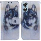 For OPPO A17 Coloured Drawing Flip Leather Phone Case(White Wolf) - 1