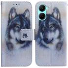 For Realme C33 Coloured Drawing Flip Leather Phone Case(White Wolf) - 1