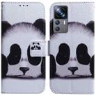 For Xiaomi 12T Pro Coloured Drawing Flip Leather Phone Case(Panda) - 1