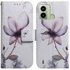 For Tecno Pop 6 Fingerprint Coloured Drawing Flip Leather Phone Case(Magnolia) - 1