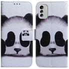 For Nokia G60 Coloured Drawing Flip Leather Phone Case(Panda) - 1