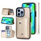 For iPhone 14 Pro Max Card Slots PU + TPU Leather Phone Case(Gold) - 1