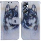 For Infinix Hot 20 Coloured Drawing Flip Leather Phone Case(White Wolf) - 1