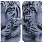 For Infinix Hot 20 Coloured Drawing Flip Leather Phone Case(Tiger) - 1