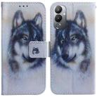 For Tecno Pova 4 Coloured Drawing Flip Leather Phone Case(White Wolf) - 1