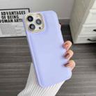 For iPhone 13 Pro Max Plating TPU Bread Bubble Phone Case(Purple) - 1