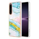 For Sony Xperia 1 IV Electroplating Marble Dual-side IMD Phone Case(Green 004) - 1