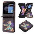 For Samsung Galaxy Z Flip5 Colored Drawing Leather Phone Case(Big Butterfly) - 1