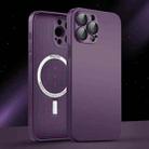 For iPhone 14 Pro AG Glass MagSafe Magnetic Phone Case(Dark Purple) - 1