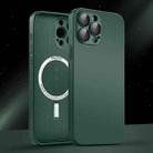 For iPhone 11 Pro Max AG Glass MagSafe Magnetic Phone Case(Dark Green) - 1