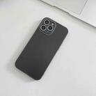 For iPhone 12 Skin Frosted Tempered Glass Phone Case(Grey) - 1