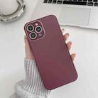For iPhone 11 Pro Max Skin Frosted Tempered Glass Phone Case(Red) - 1